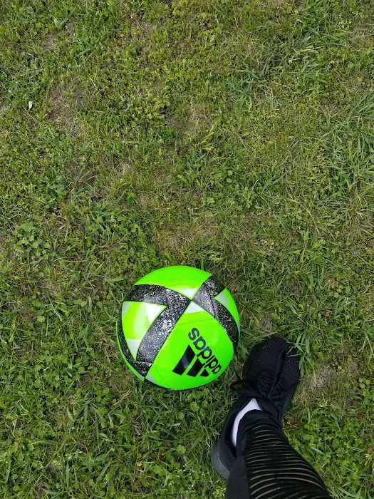 Cameahwait Campground Picture 9