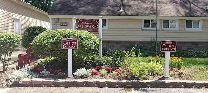 Cameahwait Campground Picture 1