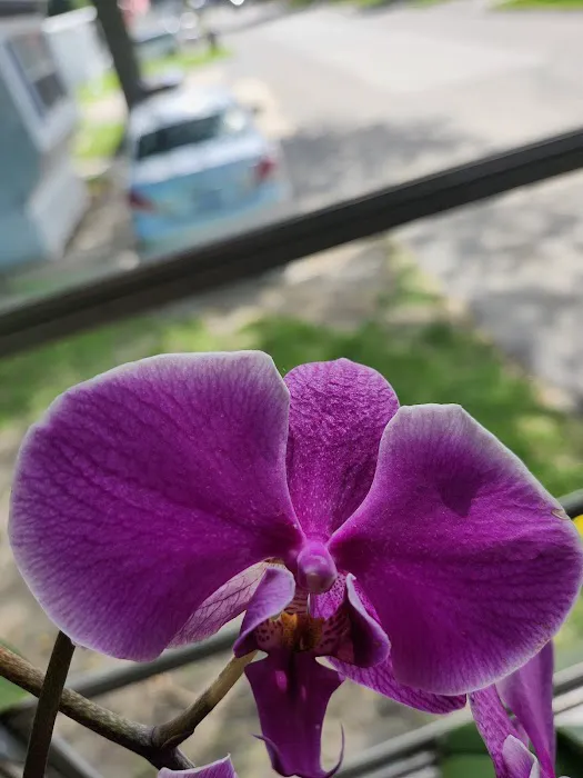 Cameahwait Campground Picture 4