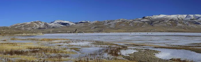 West Cameahwait Campground Picture 6