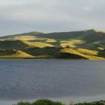 West Cameahwait Campground