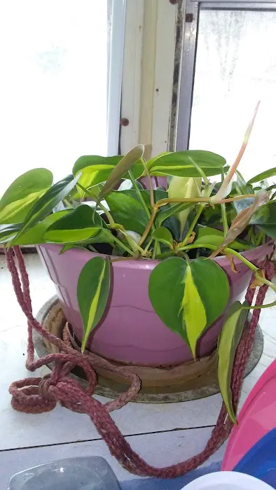 Spring Valley Mobile Home Park Picture 2