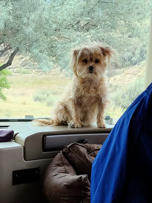 Horse Prairie Campground Picture 9