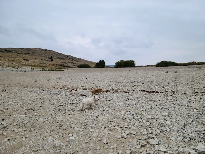 Horse Prairie Campground Picture 8