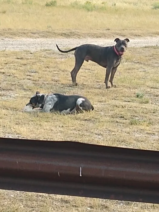 Hap Hawkins Campground/Group Use Area Picture 2