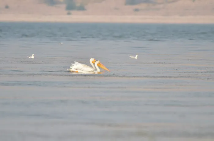 Lonetree Campground Picture 2