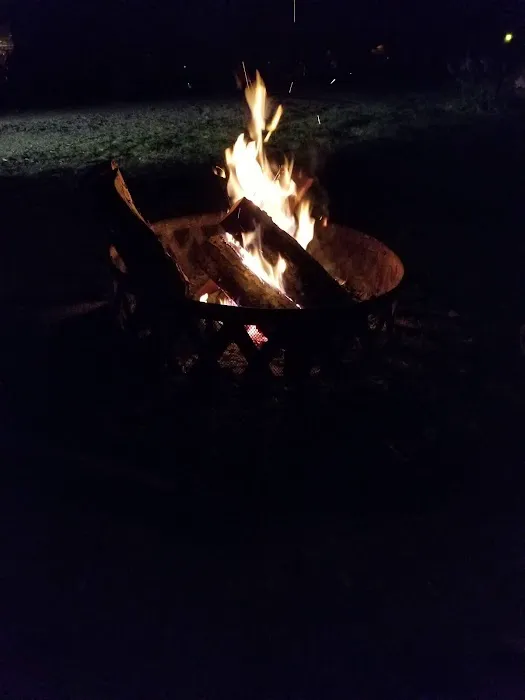 Timber Trails RV Park Picture 2