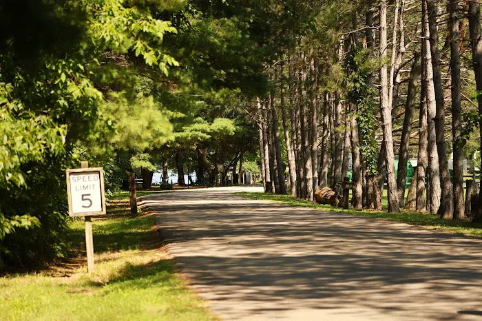 Timber Trails RV Park Picture 4