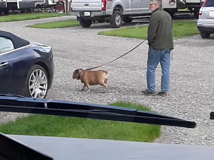 Helena North - KOA (formerly: Lincoln Road RV Park) Picture 4