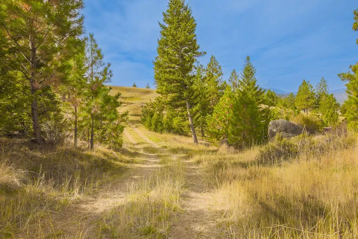 The Homestead Picture 1