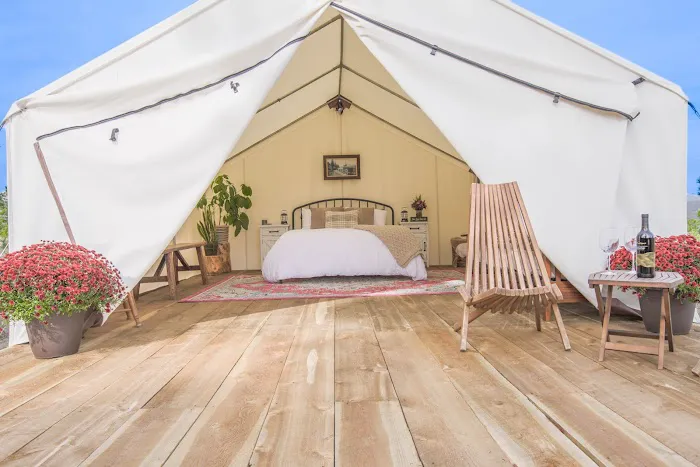 The Homestead Picture 3