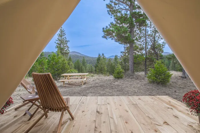 The Homestead Picture 5