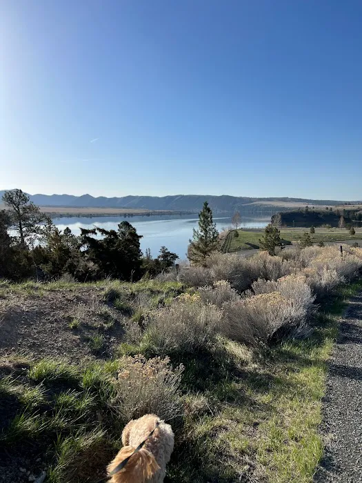Grey Sandy Campground & Store Picture 4