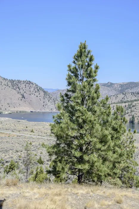 Devils Elbow Campground - U.S. Bureau of Land Management Picture 6