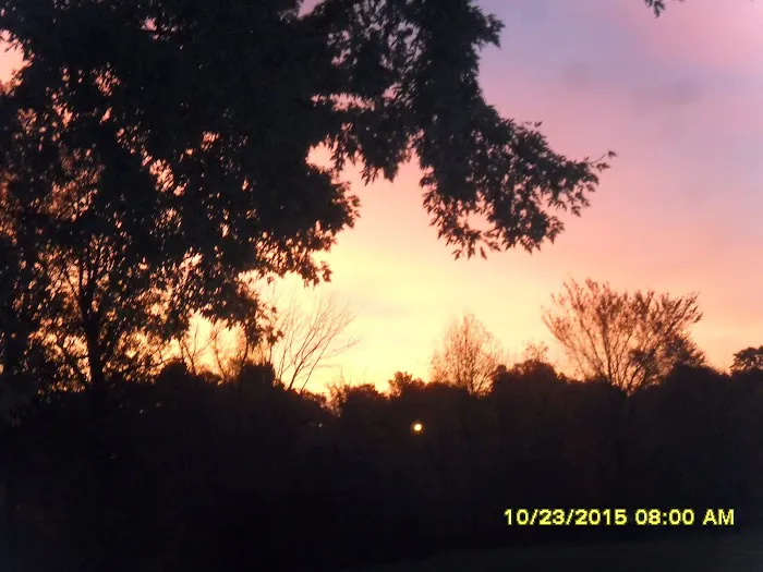 Paw Paw Lake Mobile Home Park Picture 2