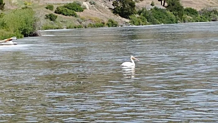 Riverside Campground Picture 5