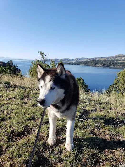 Chinaman Gulch Picture 7