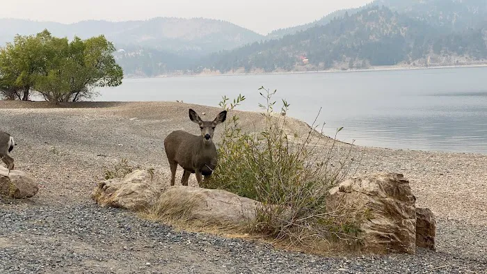 Chinaman Gulch Picture 6