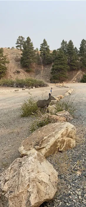 Chinaman Gulch Picture 2