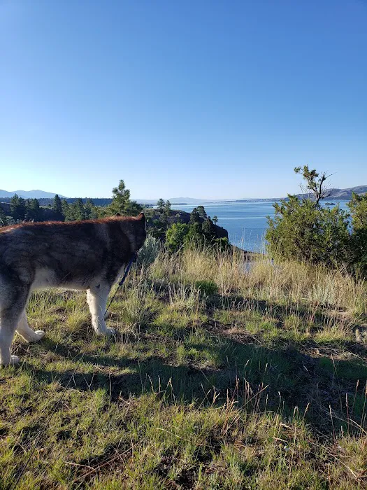 Chinaman Gulch Picture 10