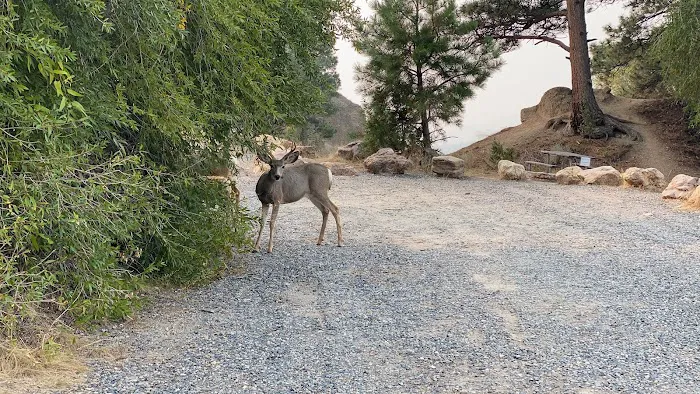 Chinaman Gulch Picture 3