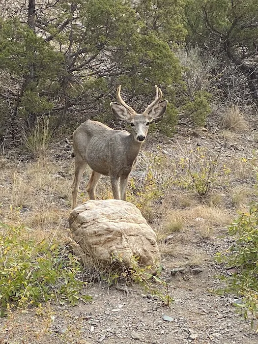 Chinaman Gulch Picture 4