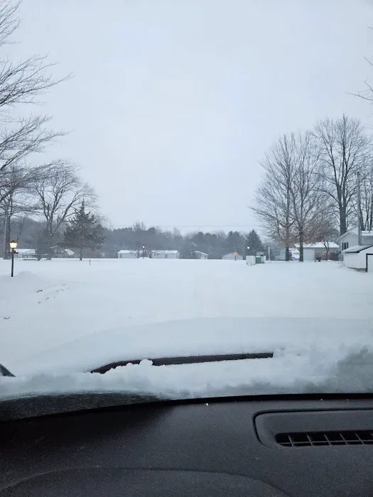 Mitchell Bros. Mobile Home Park & RV Campground Picture 4