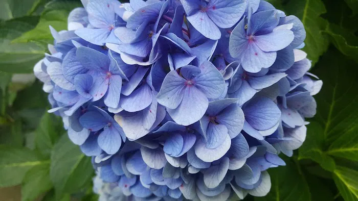 Mitchell Bros. Mobile Home Park & RV Campground Picture 10