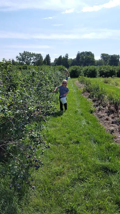 Mitchell Bros. Mobile Home Park & RV Campground Picture 2