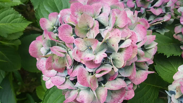 Mitchell Bros. Mobile Home Park & RV Campground Picture 9