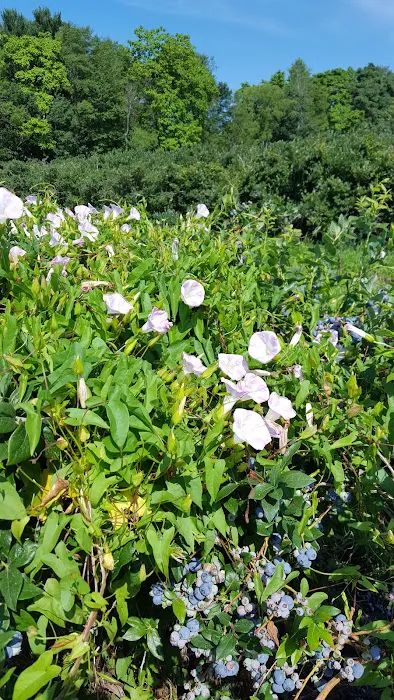 Mitchell Bros. Mobile Home Park & RV Campground Picture 1