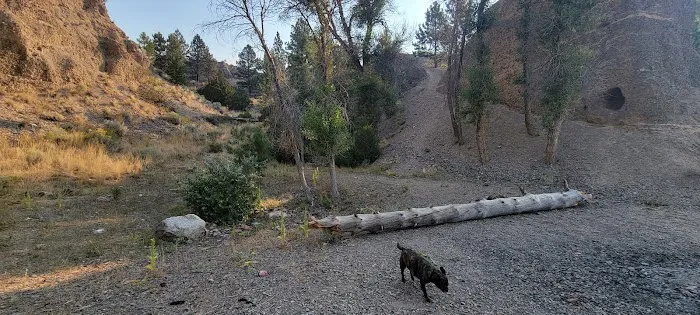 Chinaman Cove Campground Picture 5