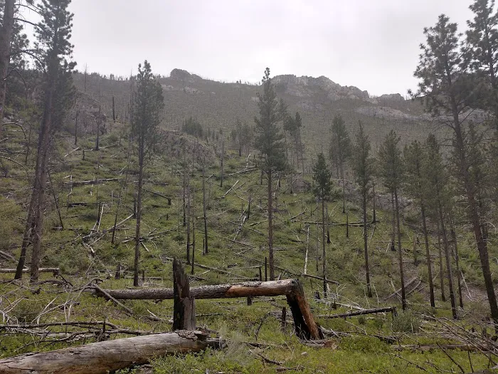 Coulter Campground Picture 8