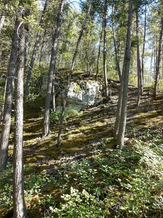 Coulter Campground Picture 3