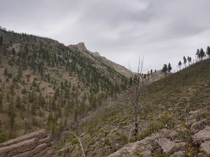 Coulter Campground Picture 4