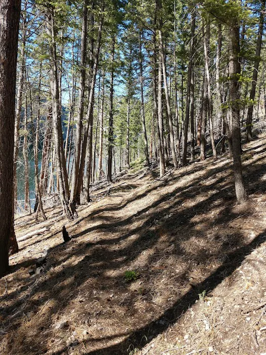 Coulter Campground Picture 5