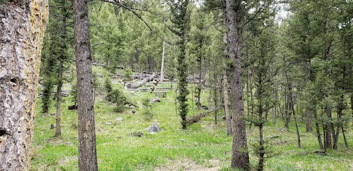 Bear Valley Horse Camp Picture 4