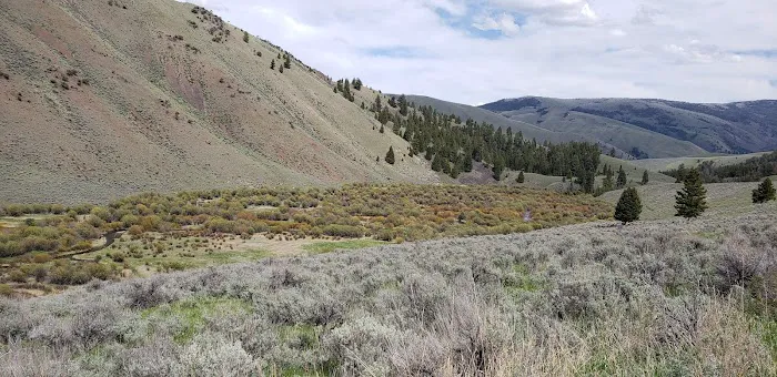 Bear Valley Horse Camp Picture 2