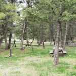 Bear Valley Horse Camp