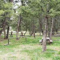 Bear Valley Horse Camp ico