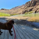 Cottonwood Recreation Site