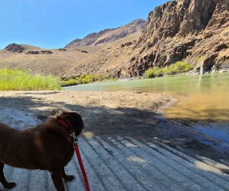 Cottonwood Recreation Site