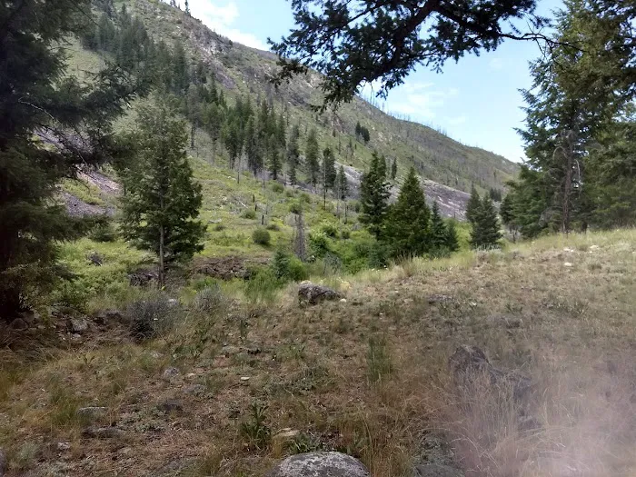 Tin Cup Campground Picture 7