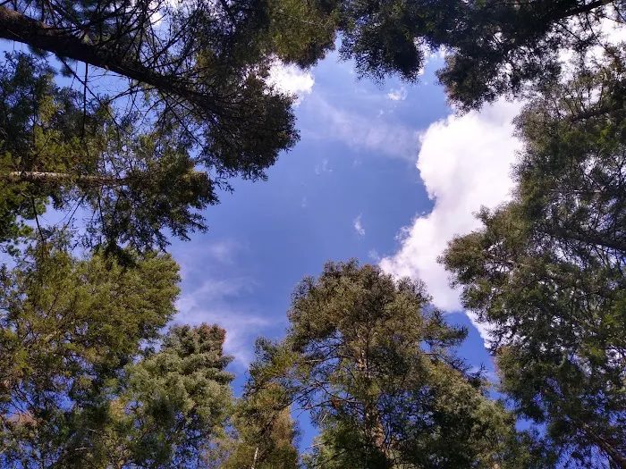 Spring Creek Campground Picture 2