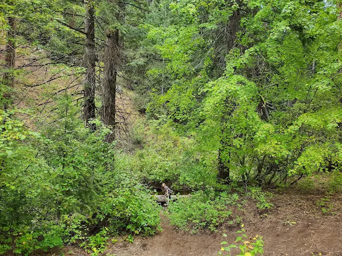 Spring Creek Campground Picture 10