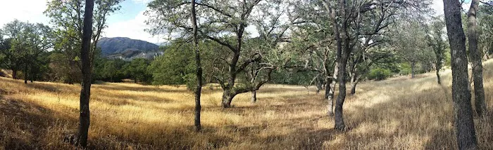 Paradise Campground Picture 5