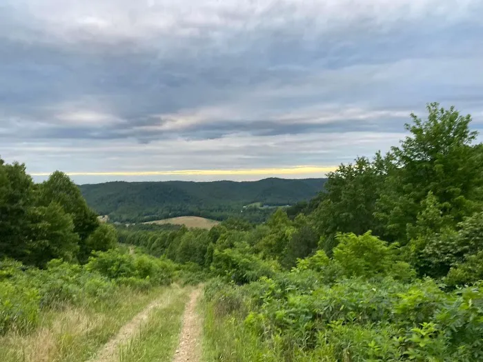 Briery Creek RV Park Picture 3