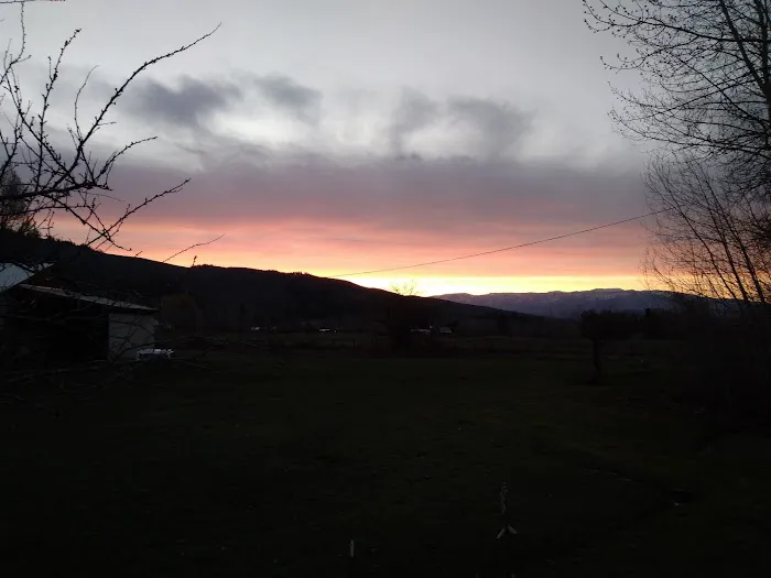 Pine Valley Extreme Picture 2