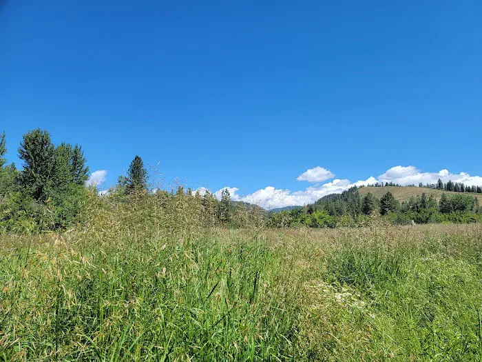 Pine Valley Extreme Picture 8