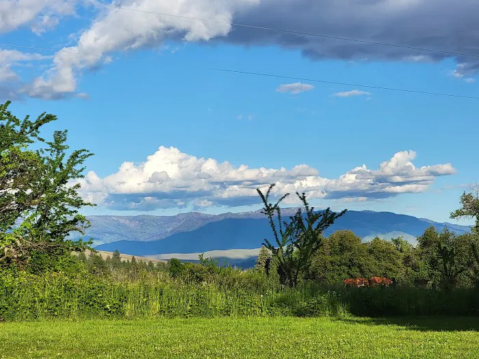 Pine Valley Extreme Picture 3